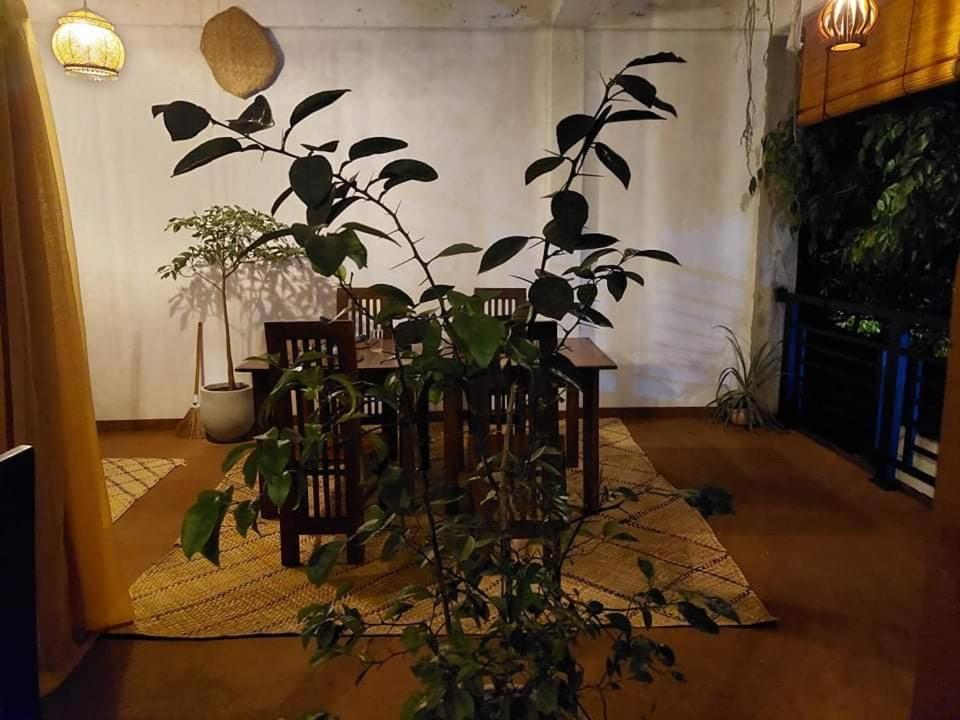 Kingcity Resort 阿努拉德普勒 外观 照片